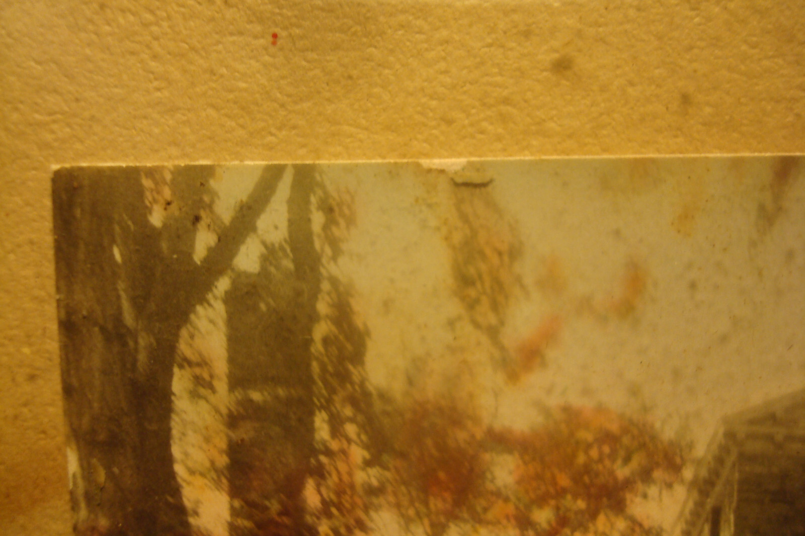 Picture 3 of 13