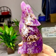 1.31LB Natural Amethyst Agate symbiosis  Crystal Hand carved wolf Specimen