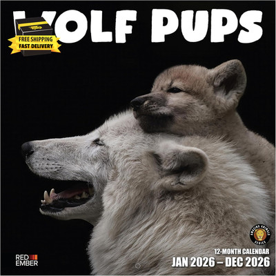 Wolf Pups 2026 Wall Calendar 12 Month | 12'' X 24'' Open | Thick & Sturdy Paper |