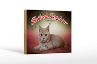 Holzschild Katze 18X12 Cm British Kurzhaar GroßBritannien Deko Schild