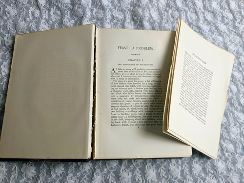 THE WORKS OF CHARLES KINGSLEY-HYPATIA ED.-YEAST POEMS-VOL IV-MOSTLY UNCUT PAGES - Picture 5 of 12