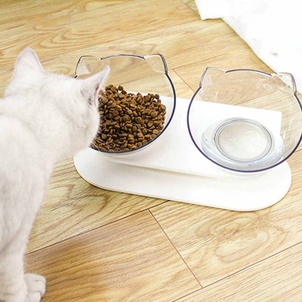 the cat bowl