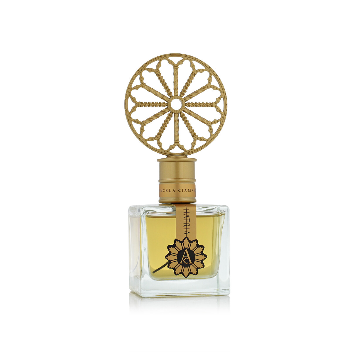 Angela Ciampagna Hatria Extra 100 48490₽