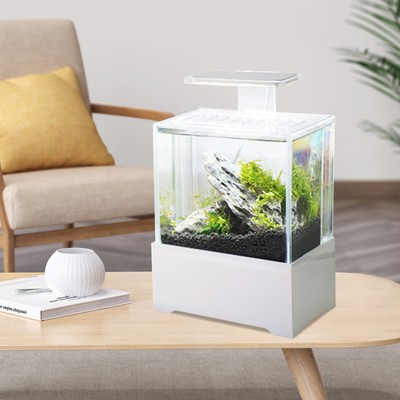 white coffee table fish tank