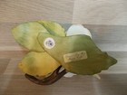 Bild 6 von 6