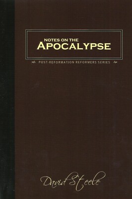 NOTES ON THE APOCALYPSE - Paperback by David Steele, 2006 **NEW ...