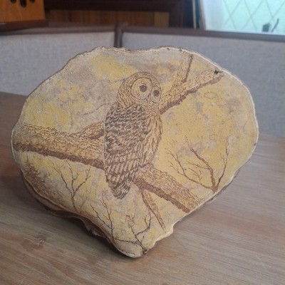 Vintage Owl Etched on Real Tree Shelf Mushroom Artist Signed 1993 Bill Shalata