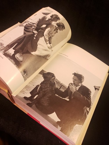 1975 1st edition Thurber: A Biography - Burton Bernstein Hardcover dust jacket - Picture 10 of 12