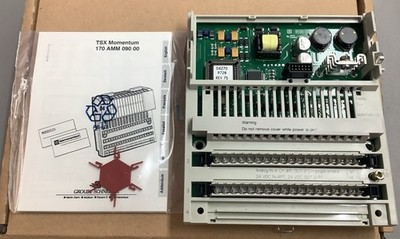 Schneider Electric Analog/Discrete I/O Modicon Momentum 170AMM09000 (b170)