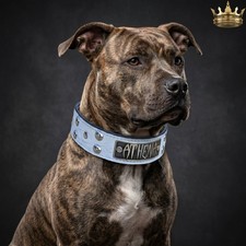Custom Italian Leather Dome Stud Dog Collar 1.5" Engraved Name Plate Handmade