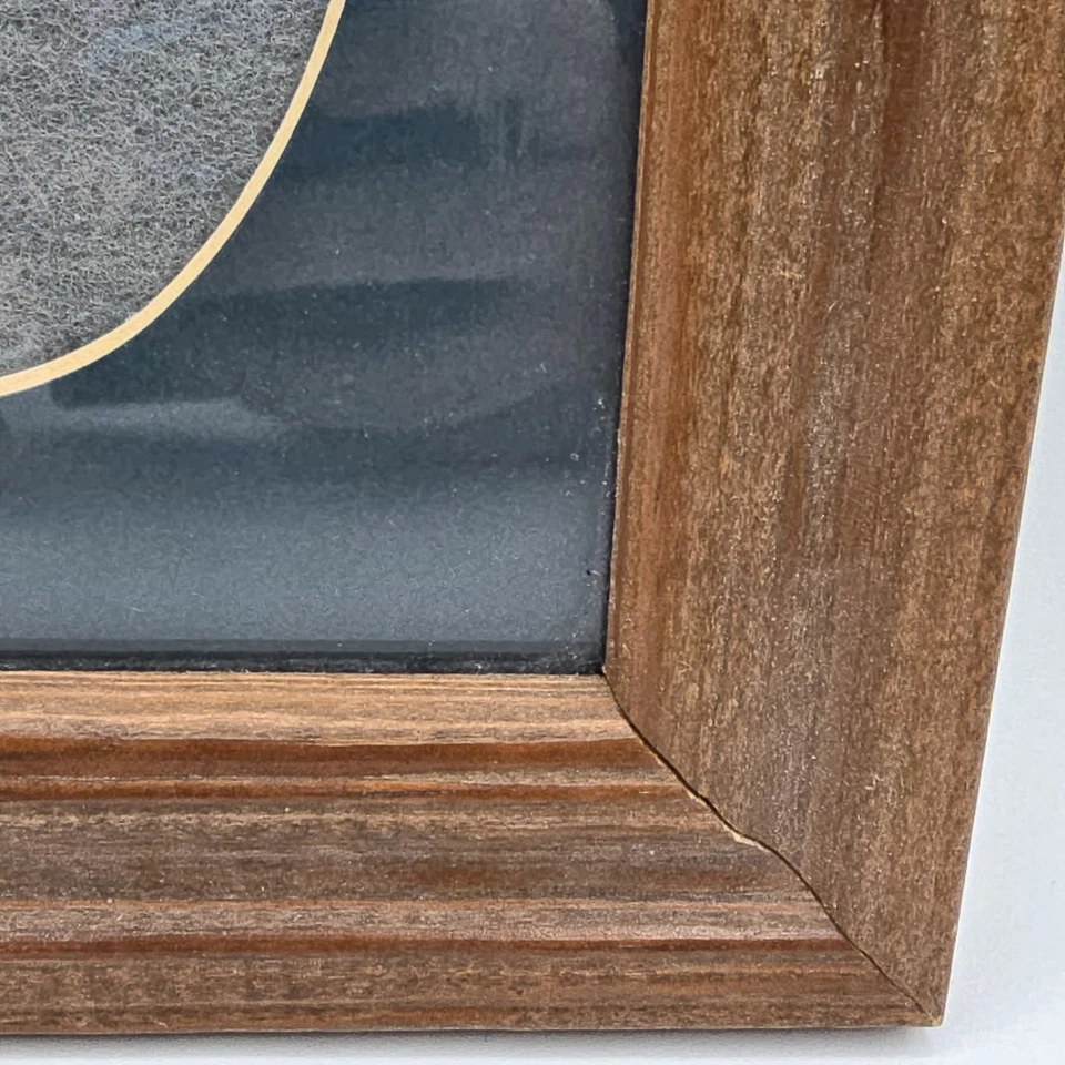 Estampilla de decoración de arte de exhibición de pared de pesca moscas de pesca firmada enmarcada de 1995 de colección Foto 4 de 4