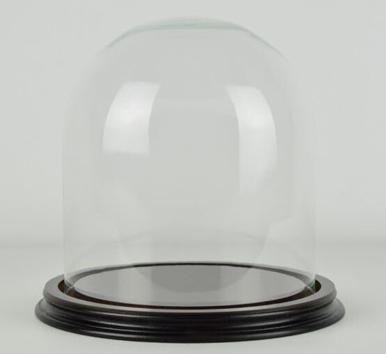 Vintage Look Small Glass Dome With Wooden Base Height 13 x 13 cm