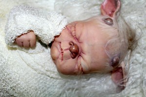alternative reborn dolls
