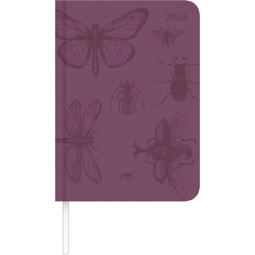 Ladytimer Deluxe Honey 2024 – Wochenkalender Im A6 Format (10,7x15,2 Cm) | Mit Tucson-Einband & Motivprägung