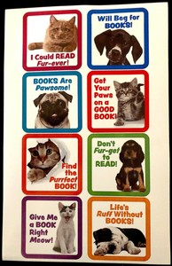 ebay kittens near me