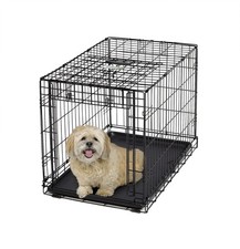 MidWest Homes for Pets Medium Ovation Single Door Folding Dog Crate, 30-Inche...