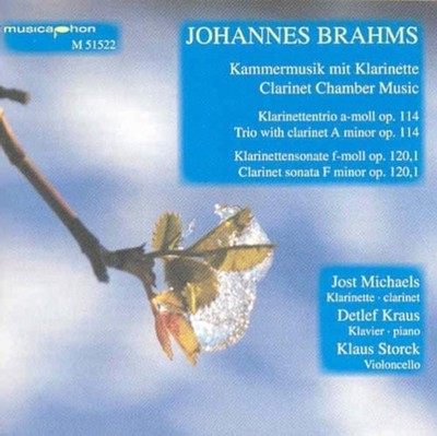 Brahms / Kraus / Storck/ Michaels - Trio in A minor [New CD]