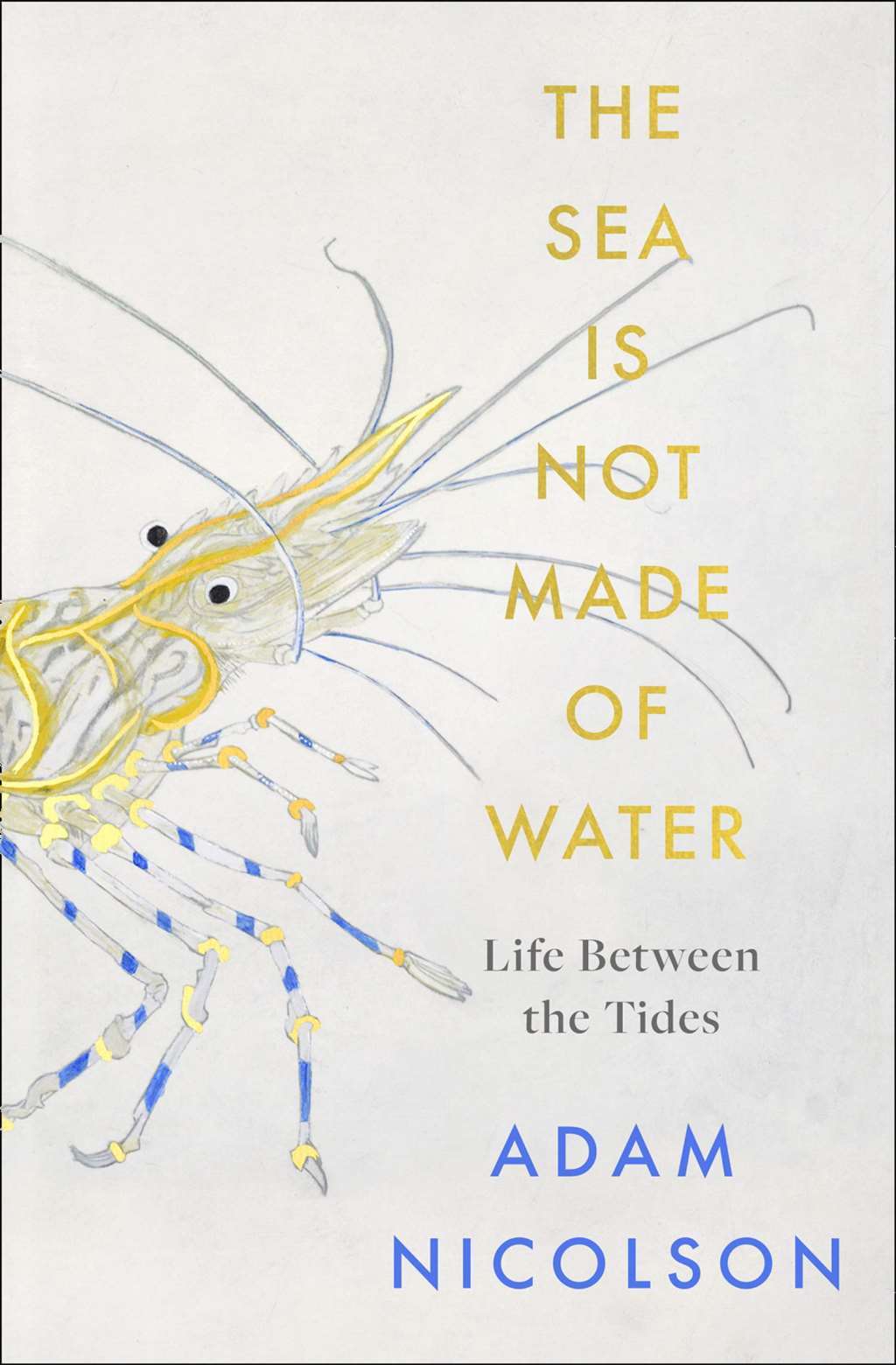 The Sea is Not Made of Water: Life Between the Tides, Nicolson, Adam, New condit