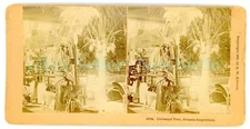 Atlanta GA - COCONUT TREE EXHIBIT - COTTON EXPOSITION - Stereoview Expo