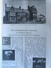 Chamberlains Orchids Orchi Burberry Rare Victorian Article 1893 Bergholt Dedham