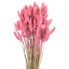 120 St&uuml;ck nat&uuml;rliche Hasenschw&auml;nze,getrocknete Blumen,43cm,Mini-Gras,weinrot