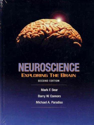 Neuroscience : Exploring the Brain by Barry Connors, Mark F. Bear
