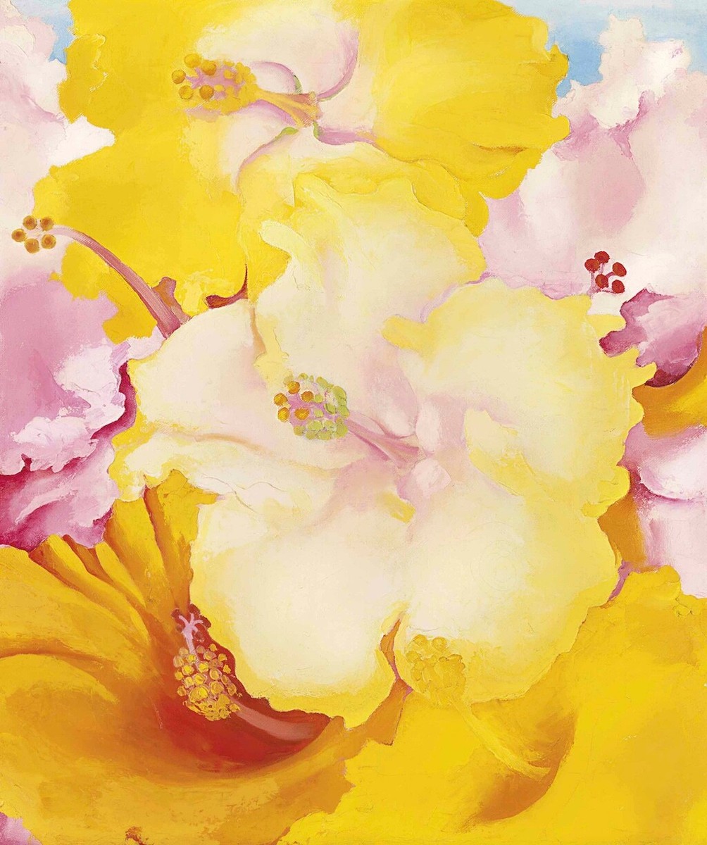 洋書 Georgia O'Keeffe Georgia O'Keeffe by Nancy Frazier – Gallery Bon Bon