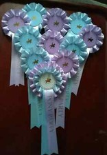 10. x 1 tier Rosette With 1 x 2 tier Rosette Pony Party Ice