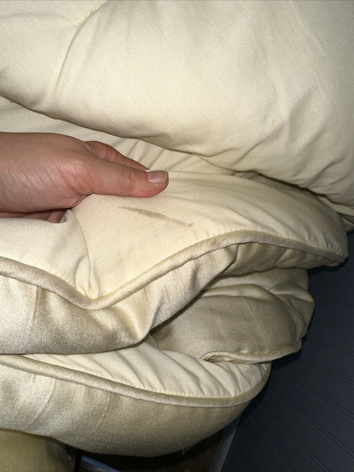 Croscill Comforter King Light Butter Yellow With Brocade Ribbon Large