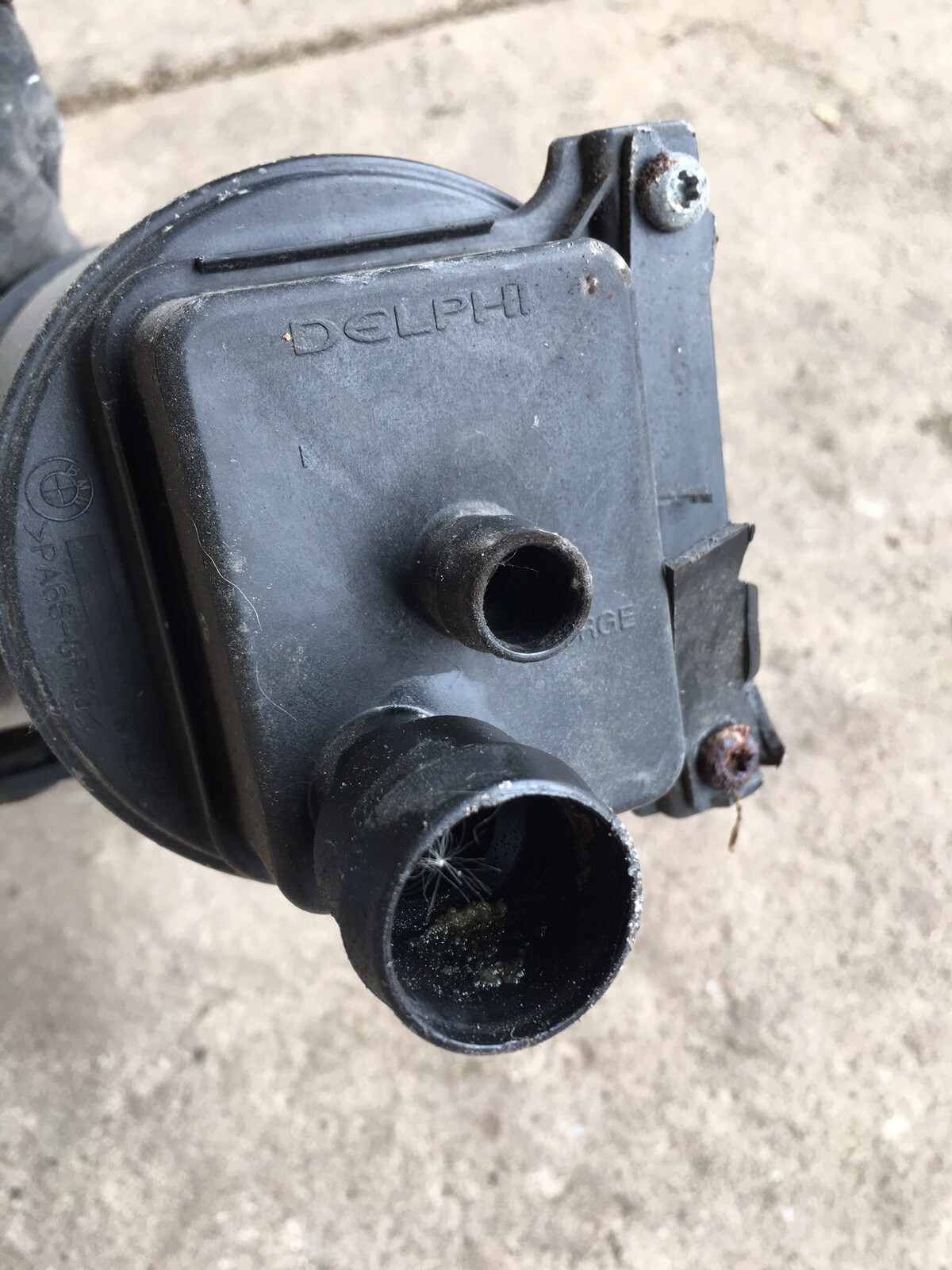 0106 BMW E46 325CI 330CI FUEL VAPOR CHARCOAL CANISTER OEM 092520 eBay