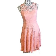 Floral Lace Sleeveless Fit and Flare Skater Dress Blush Pink Sheer Yoke Overlay