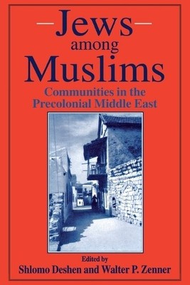 Shlomo A. Deshen Jews Among Muslims (Taschenbuch)