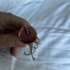 Vintage Heddon Baby Lucky 13 Wooden Fishing Lure — photo 10