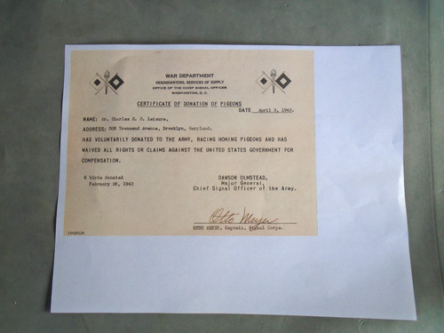 WWII US Army Signal Corps pigeon donation form, COPY