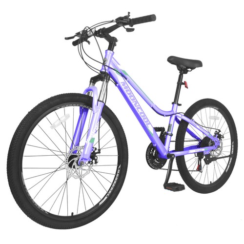 Traval Mountain Bike 26 21 Speed Double 
