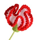 Bild 7 von 8