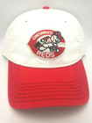 Cincinnati Reds Hat Vintage Style with Lofted 3-D Logo by American Needle