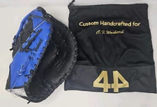 44 Pro 14in Signature Series Blue Black Glove Personalized READ With Bag RHT