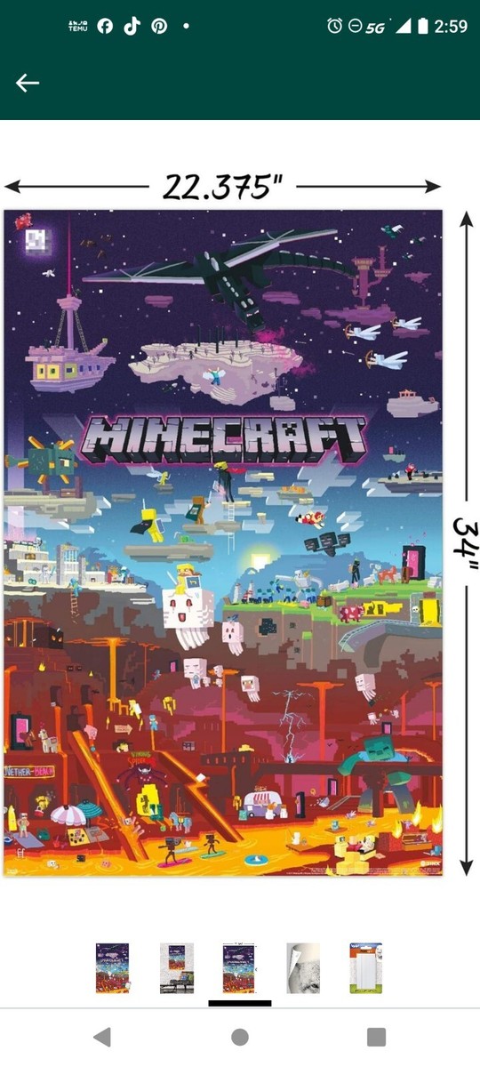 MINECRAFT - WORLD BEYOND ART POSTER 
