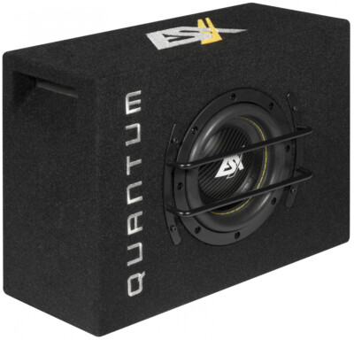 ESX QXB6 Subwoofer flach klein stehend liegend Downfire