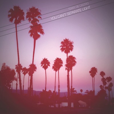 Terry de Castro - You Can't Separate Light, 10'', (Vinyl)