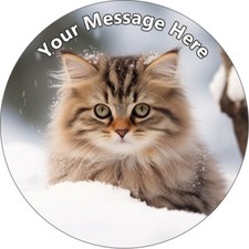 Cat Snow Personalised Cake