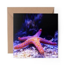 1 x Blank Greeting Card Neon Starfish Ocean Sea #51543
