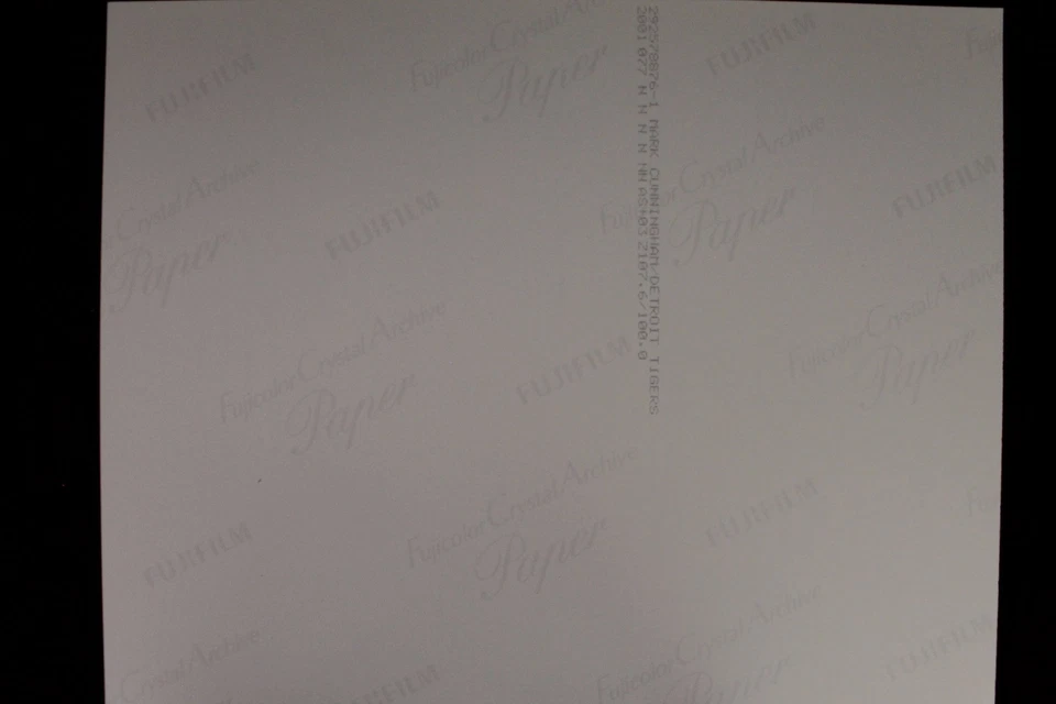 奥斯汀·杰克逊 底特律老虎队 亲笔签名 8 x 10 签名照片 美国职棒大联盟 正品 17G — 第 2/3 张图片