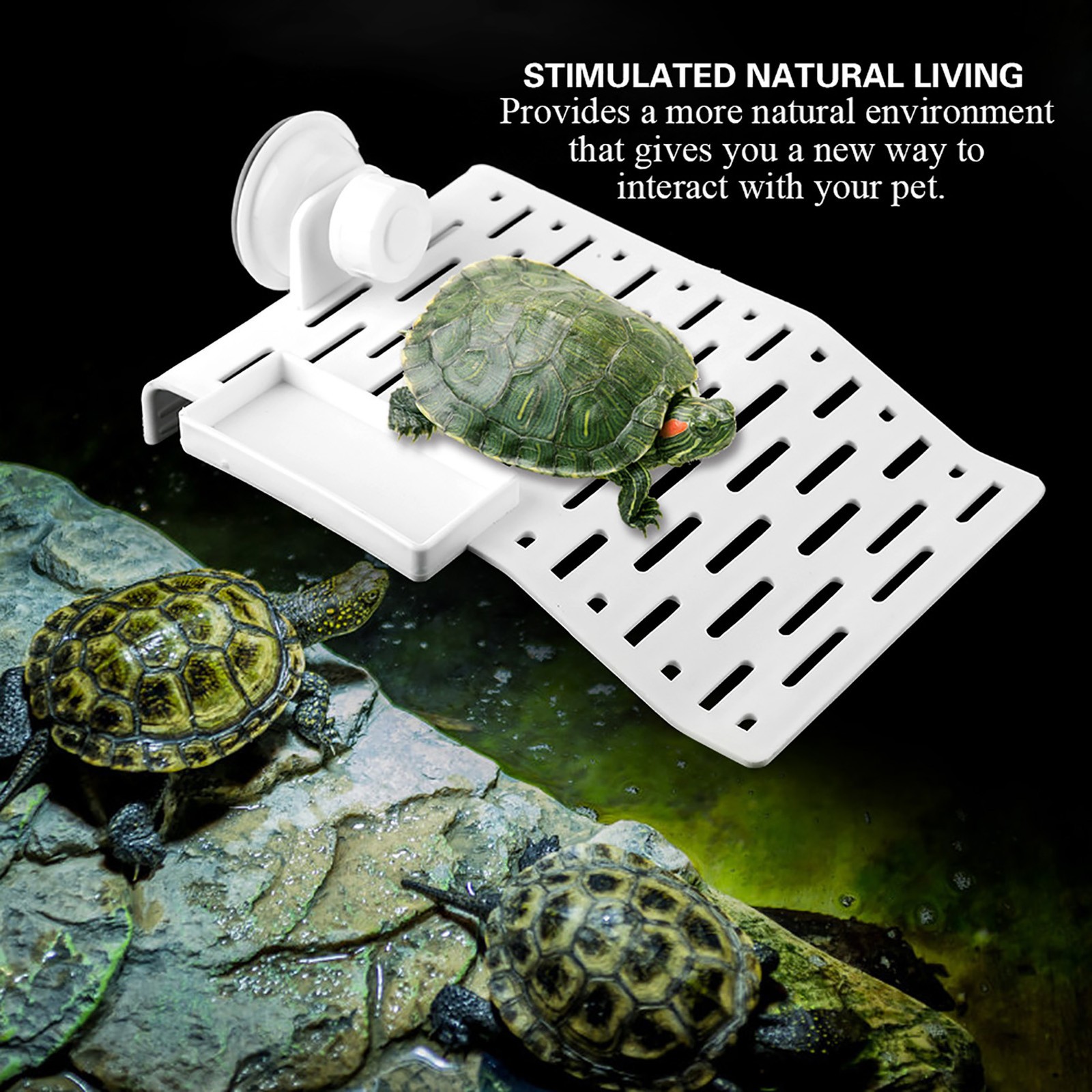 (Small)Aquarium Tortoise Platform Terrace Reptile Floating Island ▪
