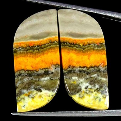 25.10Cts Natural Bumble Bee Jasper Round Cabochon loose Gemstone 12x26x4mm