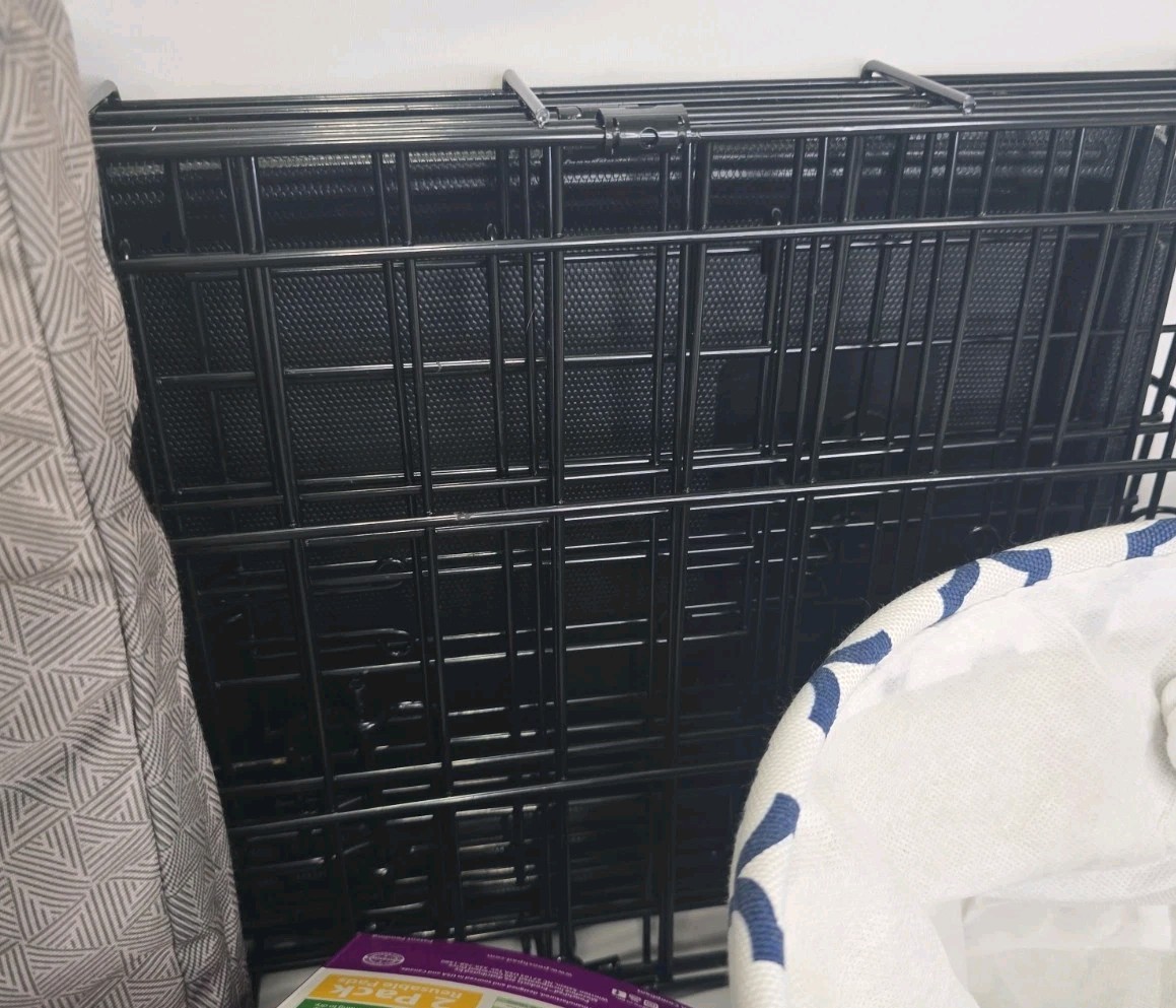 Lotto accessori per cani di piccola taglia ciotole per casse e altro foto 3