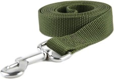 Strong Nylon Dog Leash, for Medium Large Dogs Walking, Training 10 FT, Green