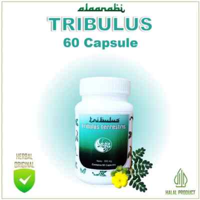 Tribulus Natural Organic Herbs Spices Fresh Pure Hygienic Premium Original