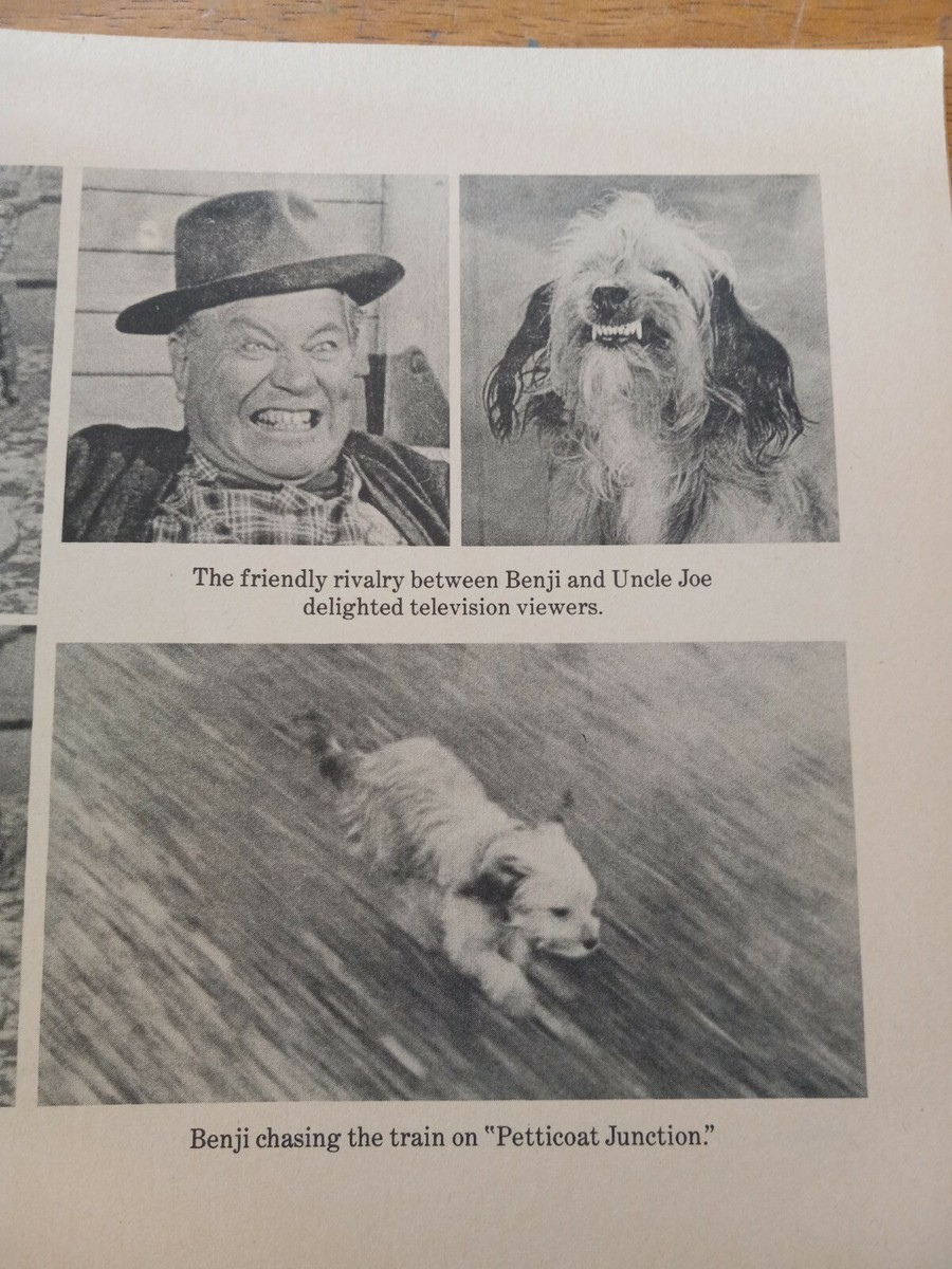 JOE CAMP'S THE PHENOMENON OF BENJI PB 1977